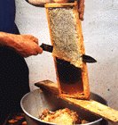 désoperculation avec un couteau.